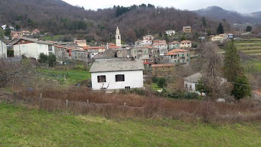 Torpiana