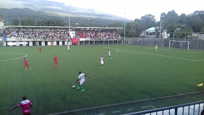 stadium