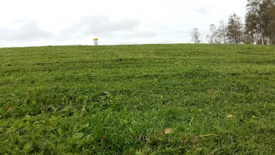 Photos of Discgolfi Park