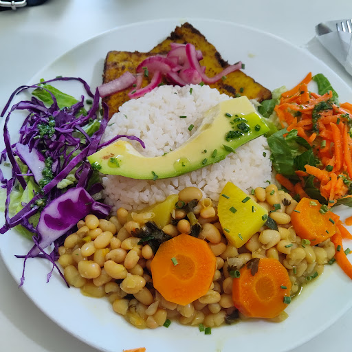 Bori Vegan Guaynabo Gallery - United States