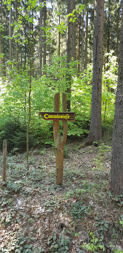 Conradswiese - Thumbnail