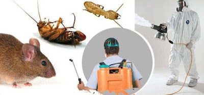 photo of P and P Pest Control Bapunagar