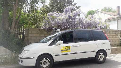 Danilo Taxi - Visual