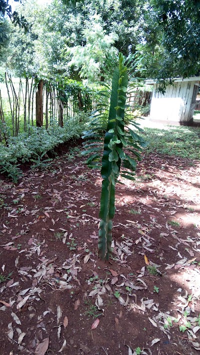 Photos of Two Rivers Resort