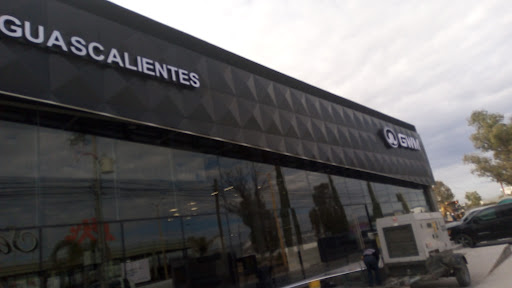 GWM Aguascalientes - Visual