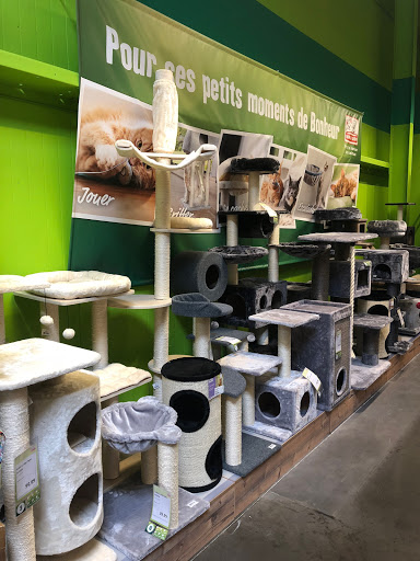 Maxi Zoo Gaillac Gallery - France