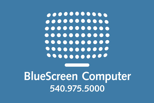 BlueScreen Computer Services - Visual