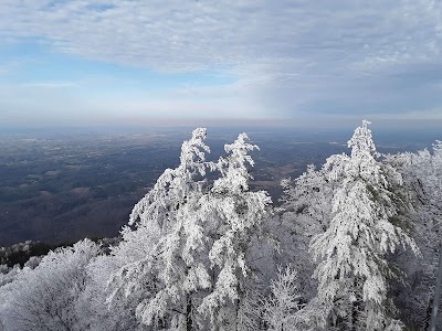 Bluff Mountain Fire Tower