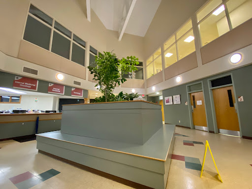 Metropolitan Veterinary Hospital Akron - Thumbnail
