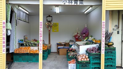小林青果店