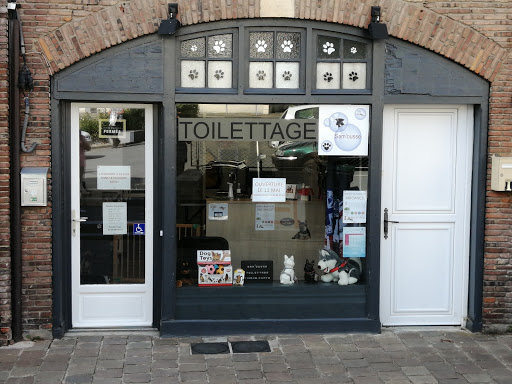 Salon de Toilettage, Sam'ousse Gallery - France