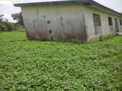Photos of Bureau administratif de l'agriculture de diabo