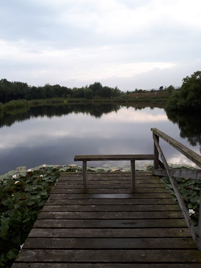 Photos of Ballannette Country Park