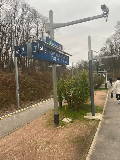 Saint-Nom-La-Bretèche Forêt de Marly Gallery - France