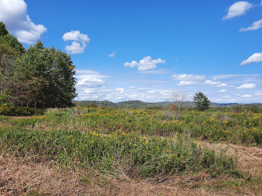 Little Indian Creek Wildlife Management Area
