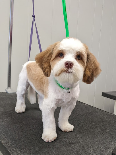 Furry Tail Endings LLC Dog Grooming