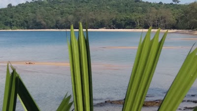 Photos of Kactus