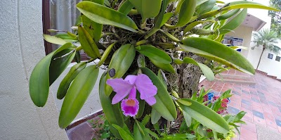 Photos of University of Ibague