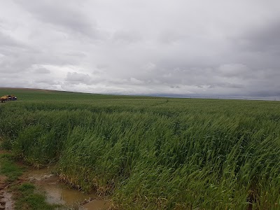 Photos of Lelelelora@lovedale