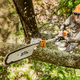 Photo n°23 de NP Gonzalez à Meaux (Service d'élagage)