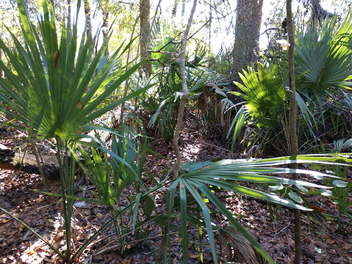 Lovett Road Park - Thumbnail