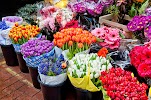 Фотография Цветы, Дальняя улица, Казань, Россия