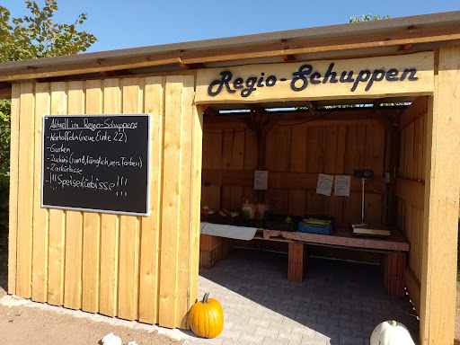 Regio Schuppen - Visual