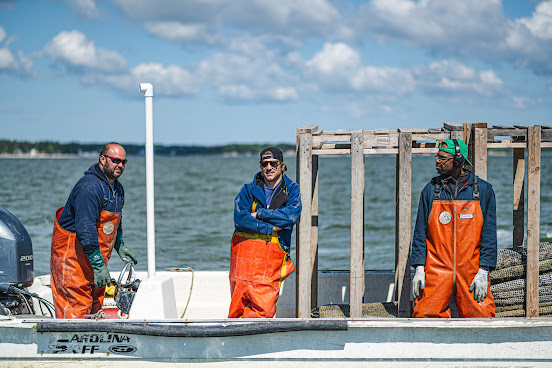 White Stone Oyster Company by null