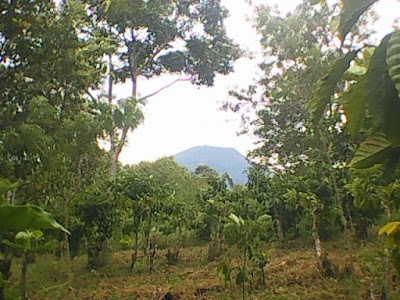 Photos of sunrise of sumatera