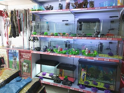 Pet Shop Korça