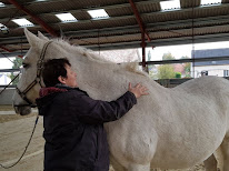Centre de formation L'Art de la Voix avec le Cheval - Catherine SENN à Ormes