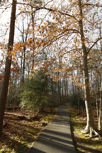 Tanglewood Community Park - Thumbnail
