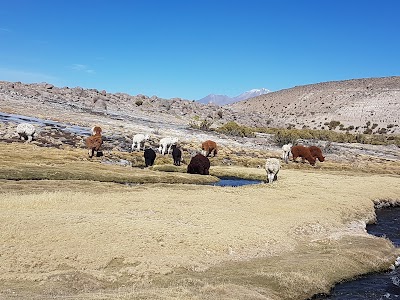 Photos of Las Vicu&ntilde;as National Reserve