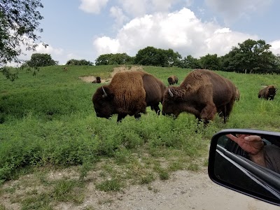 Wildlife Safari Park