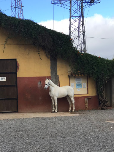 Vega De San Mateo - Thumbnail