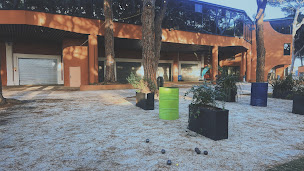 Photo n°56 de Le Driver Sport Pub à Hyères (Pub)