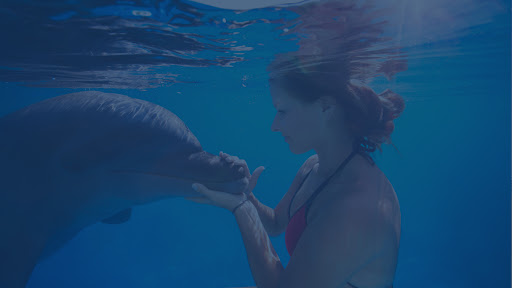 Payless Tours Cancun