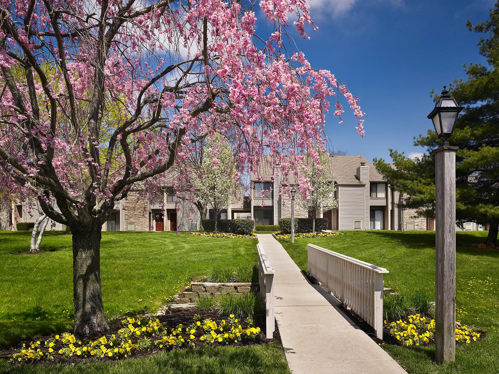 Blue Bell Villas