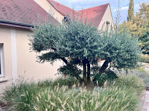 Photo n°22 de Le Brin Vert à Nogent-sur-Oise (Paysagiste)