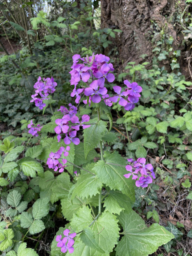 Valley Loop Trail - Visual