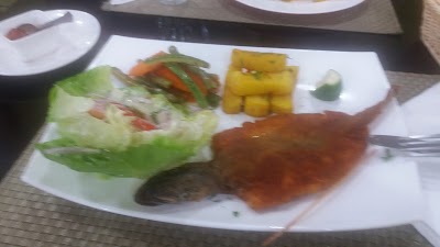 Photos of Roma Restaurant