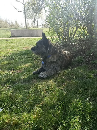Zona de esparcimiento canino "La Ribera" - Thumbnail