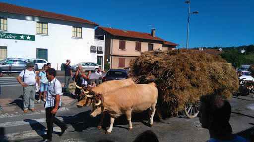 Photo de Maison de Coumanis -Gite à Montjoie-en-Couserans (09200)