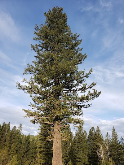 Yellowstone Trail Parking