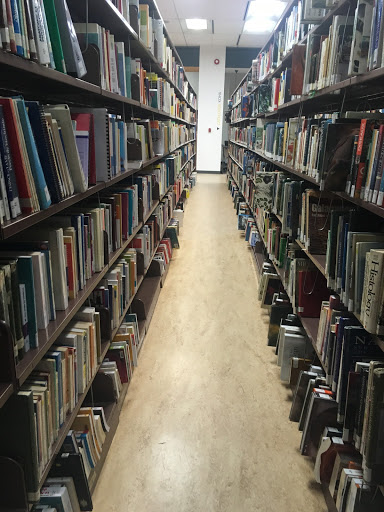 Armand-Frappier Public Library - Thumbnail