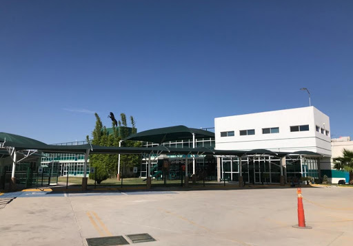Colegio Alejandro Magno