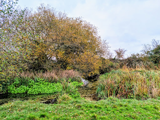 National Trust Car Park - The Lion's Den - Thumbnail