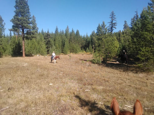 Indian Camp Campground - Thumbnail