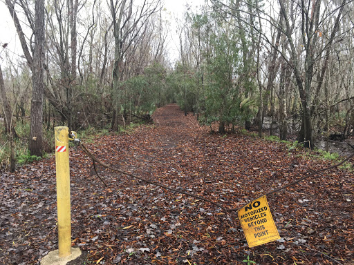 Maurepas Swamp Wildlife Management Area Nature Trail - Thumbnail