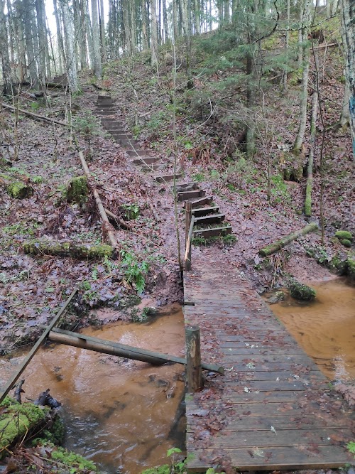 Loodi (Paistu) matkarada